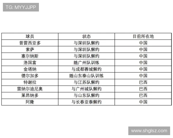法甲球队冬季转会分析：法甲冬季转会窗的变化与转会动态